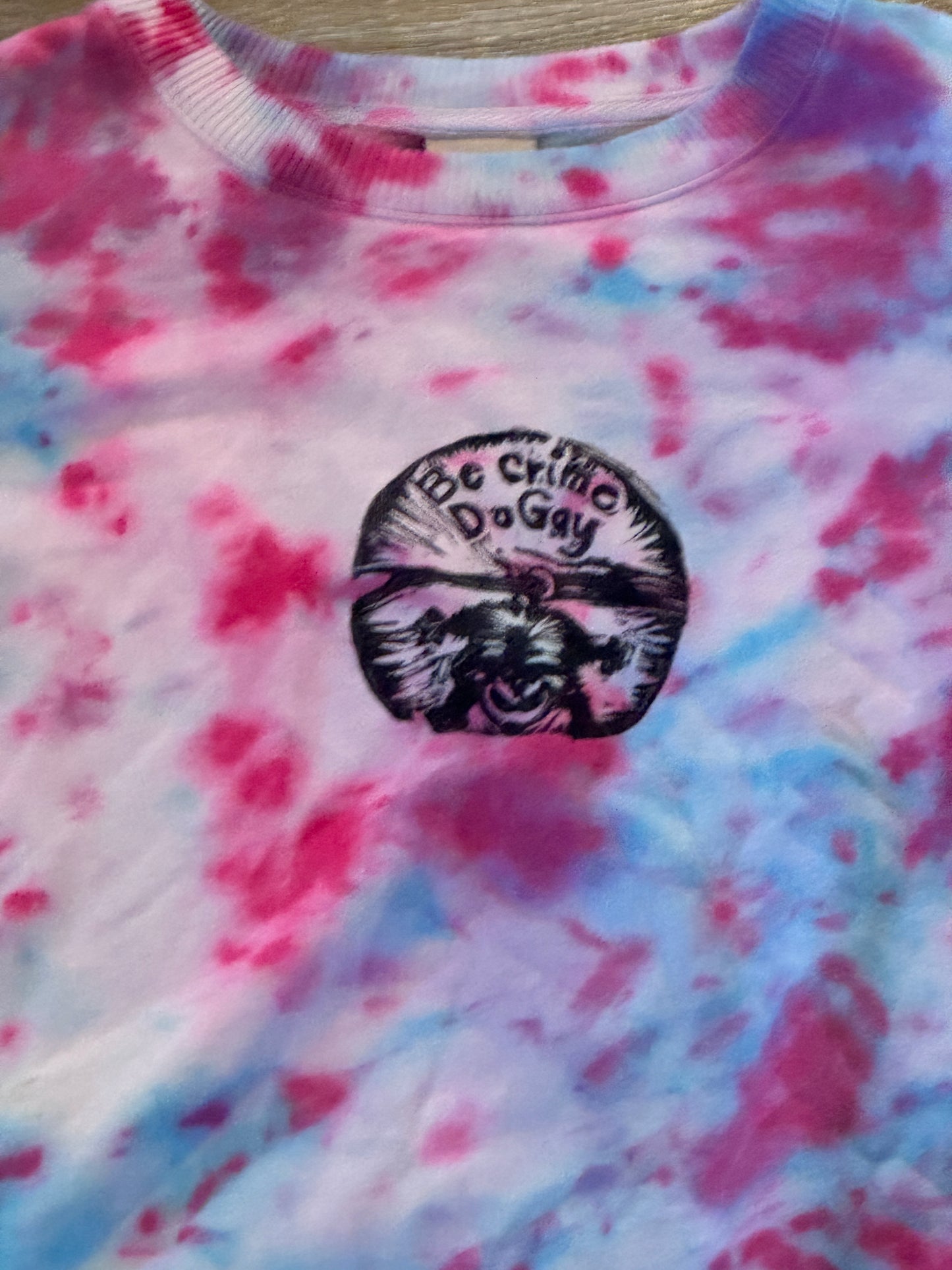 Be Crime Do Gay Princess Sleeve Pullover