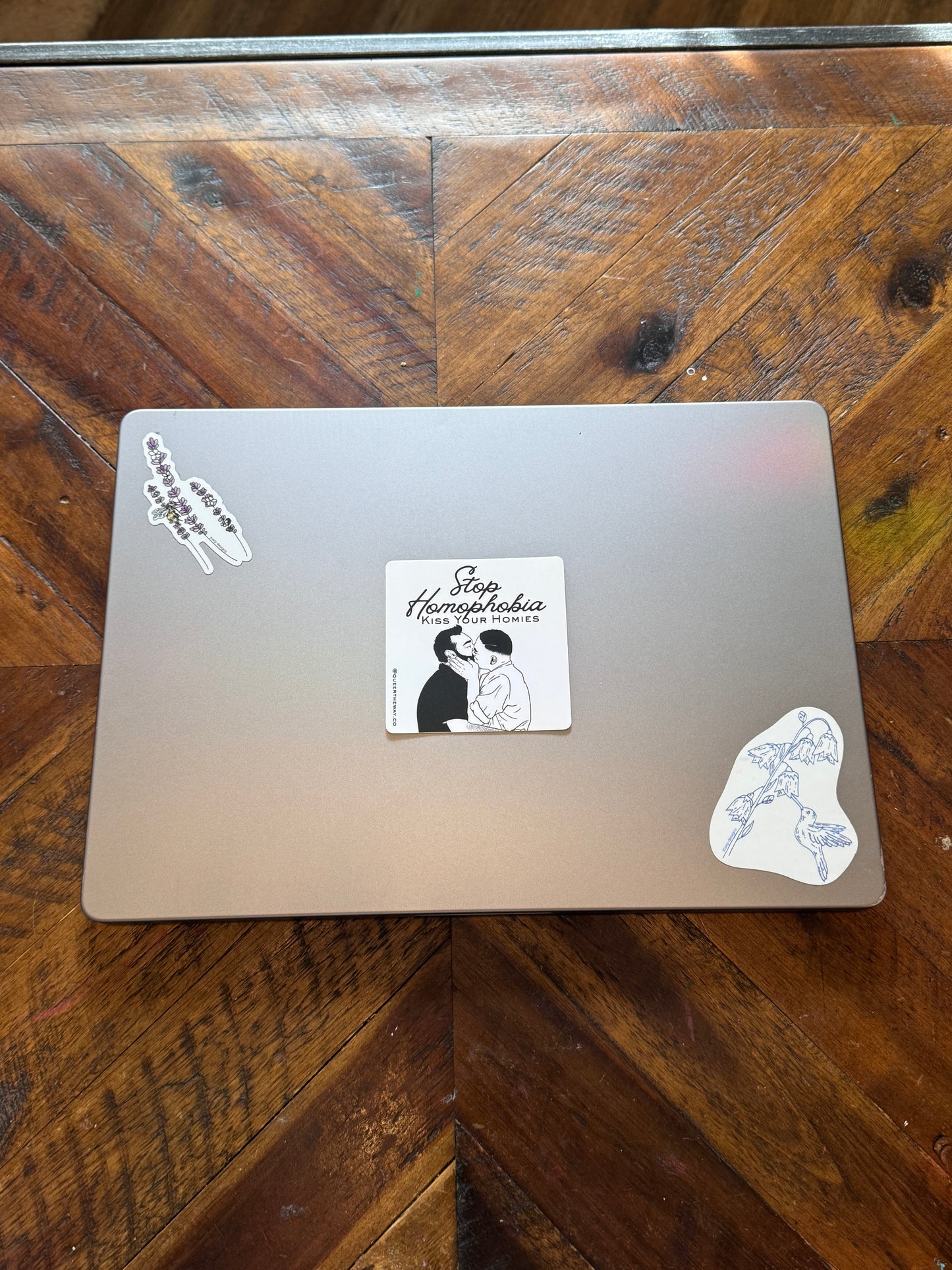 Stop Homophobia Kiss Your Homies Sticker