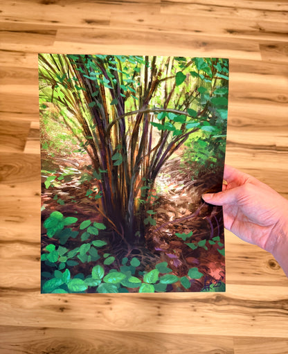 Lopez Island Underbrush