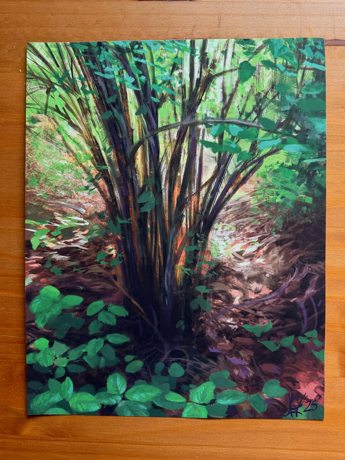 Lopez Island Underbrush