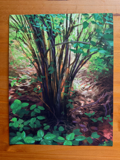 Lopez Island Underbrush